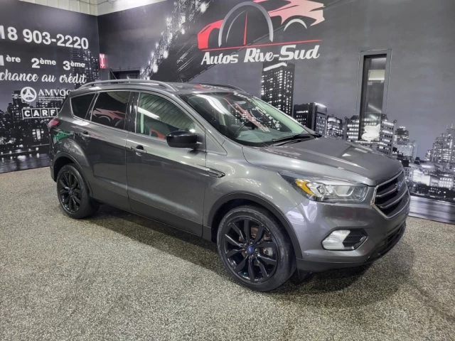 Ford Escape 4WD 4dr SE 2017