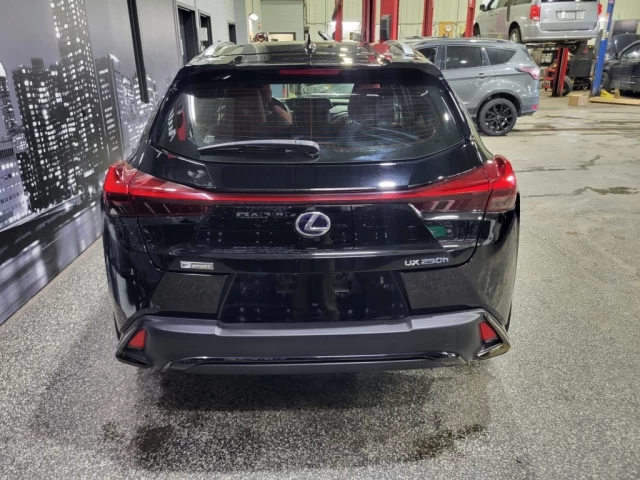 Lexus UX UX 250h CVT 2021